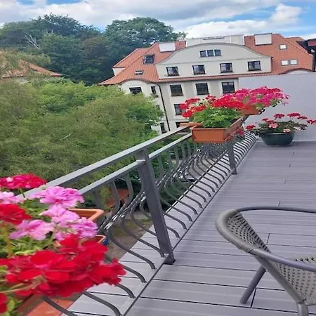 In Near Monte Cassino Street Apartment *