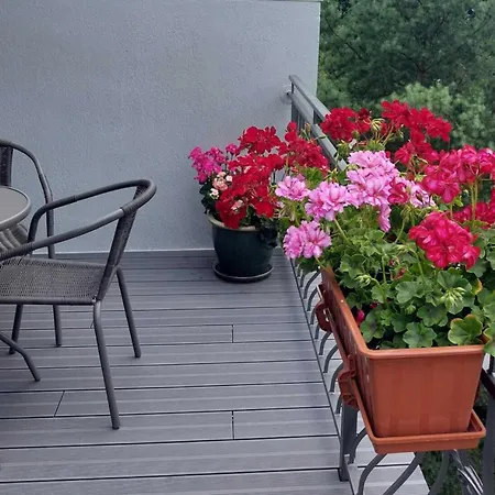 In Near Monte Cassino Street Sopot