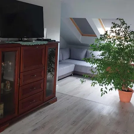 Apartment In Near Monte Cassino Street *